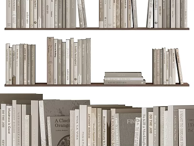 Organized Books and Magazines Collection on Wooden Bookshelves with Stacked Varied Sizes 3d model