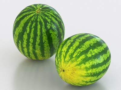 Watermelon fruit 3d model