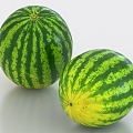 Watermelon fruit 3d model