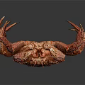 Red Textured Crab With Detailed Shell And Long Legs On Gray Background