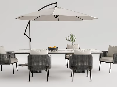 Modern Outdoor Dining Table And Chairs With Cantilever Umbrella Fruit Tray And Plant 3d model