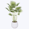 indoor potted plant 3d model