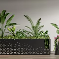 Black Flower Bed With Perforated Dot Design Green Plants and Flower Pot Pink Flowers