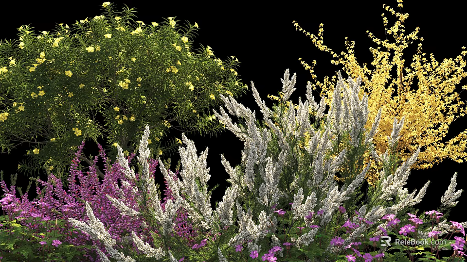 Colorful Garden Flowers With Yellow Blooms White Plants And Purple Petals 3d model 