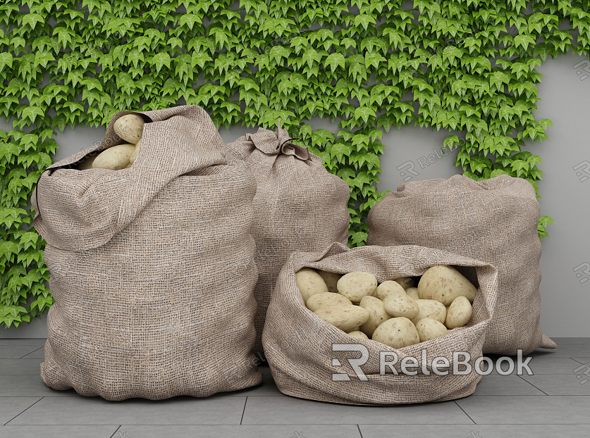 Modern Potato Sacks model