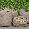 Modern Potato Sacks 3d model