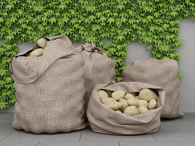 Three Burlap Sacks Filled With Fresh Potatoes Near Green Leafy Wall 3d model
