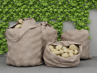 Modern Potato Sacks 3d model