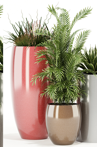 Modern potted plant collection 3d model