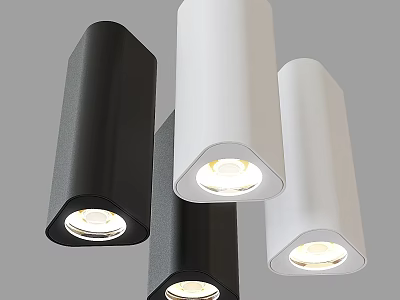 Modern LED Downlights and Spotlights with Black and White Finish and Illuminated Design 3d model