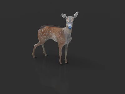 Reptile With Brown Spots Standing On Gray Background With Reflection 3d model