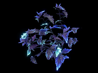 Stunning Glowing Purple And Blue Plant Leaves On Black Background 3d model
