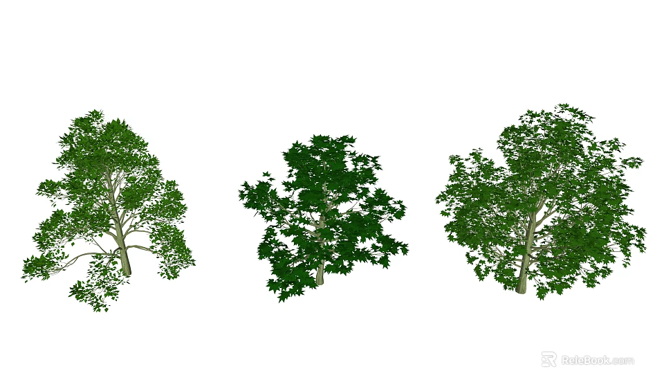 Arbor Trees With Lush Green Canopies And Different Natural Growth Shapes 3d model 