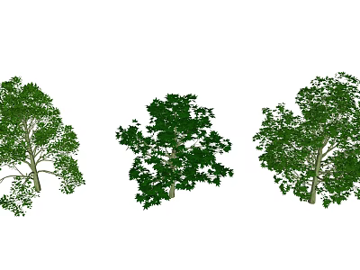 Arbor Trees With Lush Green Canopies And Different Natural Growth Shapes 3d model