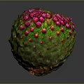 Vibrant Tropical Fruit With Green Textured Skin And Pink Protrusions On Dark Background