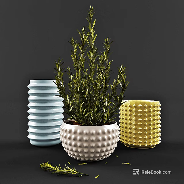 Potted Bonsai Plant Green Foliage In White Dotted Pot Blue Spiral And Yellow Spiky Pots 3d model 