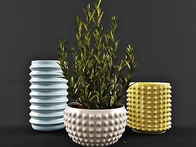 Potted Bonsai Plant Green Foliage In White Dotted Pot Blue Spiral And Yellow Spiky Pots 3d model