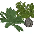 Green Fern and Leafy Plant Arrangement with Natural Rock Decoration