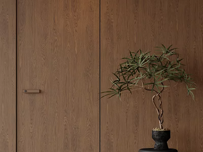 Warm Brown Wooden Swing Door With Natural Wood Grain And Potted Bonsai Tree 3d model