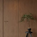 Warm Brown Wooden Swing Door With Natural Wood Grain And Potted Bonsai Tree