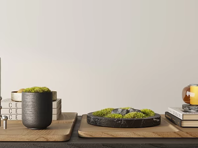Decorative Ornament Set with Moss Decor Black Pot Wooden Tray and Books for Modern Home 3d model