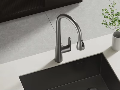 Modern Kitchen Faucet With Black Sink On Light Countertop And Green Plant 3d model