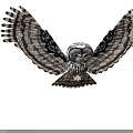 Majestic Owl With Spread Wings Distinctive Black White Feathers Large Yellow Eyes On Neutral Background