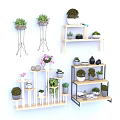 Display Shelves With Various Multi Tiered Designs Wooden Metal Frames Decorated With Potted Plants