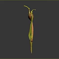 Plant Parts Featuring Wilted Fruits With Yellow Stems And Green Oval Leaves On Dark Background