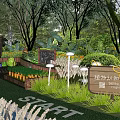 Delightful Garden Features With Wooden Frames Diverse Plants Lawn And Blackboard 3d model