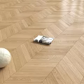 Light Wood Herringbone Floor With Ball And Magazine