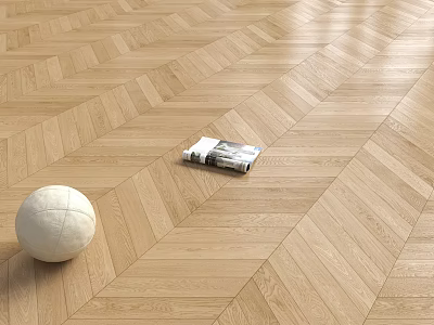 Light Wood Herringbone Floor With Ball And Magazine 3d model