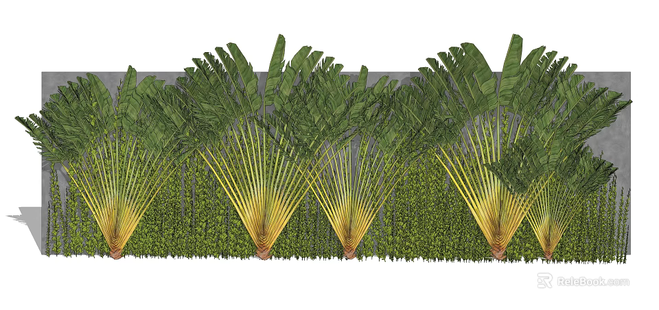 Decorative Green Plant Wall with Large Fan Shaped Leaves and Lush Foliage 3d model 