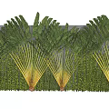 Decorative Green Plant Wall with Large Fan Shaped Leaves and Lush Foliage