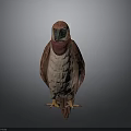 Standing Red and Beige Stuffed Bird with Orange Claws and Feathers