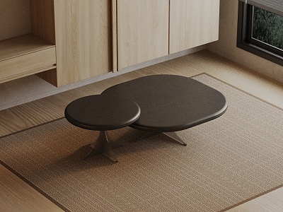 Modern coffee table model