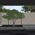 Modern Garden Landscape Design with Central Tree White Wall Black Stone Platform and Gravel Ground