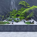 Indoor Landscape Design With Green Plants Rocks White Gravel And Natural Elements