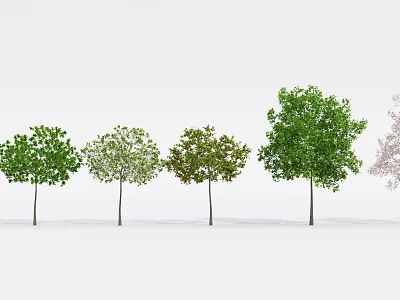 Modern Tree Fruit Tree 3d model