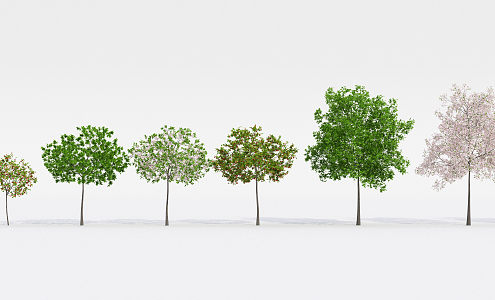 Modern Tree Fruit Tree 3d model