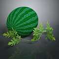 Fresh Green Striped Watermelon With Natural Green Leaves On Dark Background