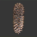 Natural Brown Pine Cone With Green Tip On Top Against Dark Background