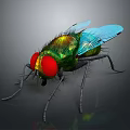 Detailed Realistic Fly With Red Eyes Green Body And Blue Wings