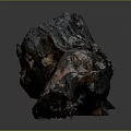Natural Plant Wood Trunk with Dark Background and Rich Brown Textured Surface