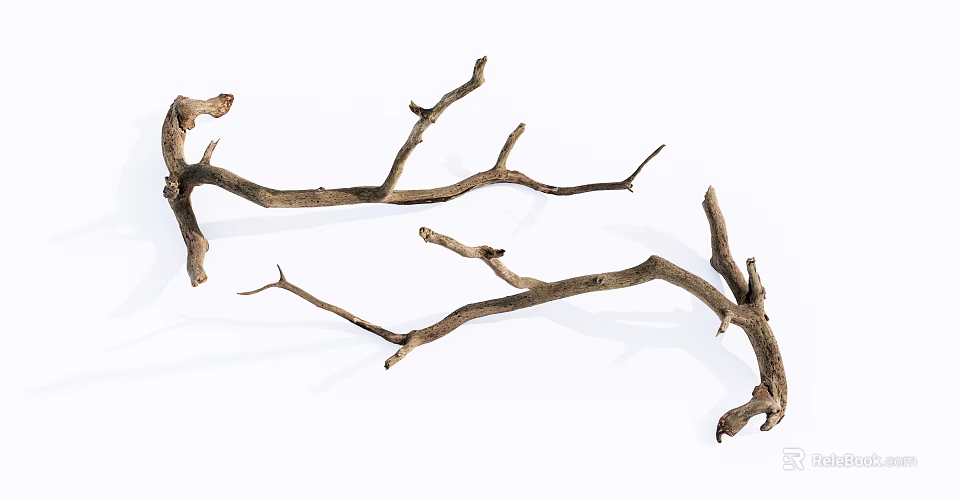 Natural Wood Branches With Twisted Shape And Rustic Texture For Decorative Projects 3d model