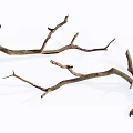 Natural Wood Branches With Twisted Shape And Rustic Texture For Decorative Projects 3d model
