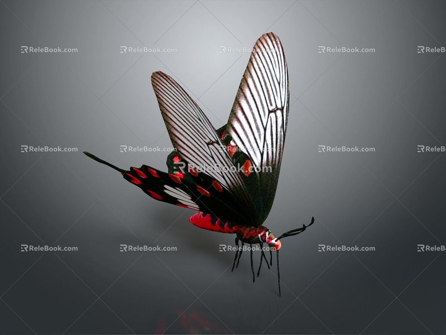 Modern Butterfly Colored Butterfly Tabby Butterfly Leaf Butterfly 3d model