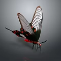 Modern Butterfly Colored Butterfly Tabby Butterfly Leaf Butterfly 3d model