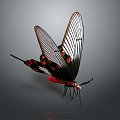 Modern Butterfly Colored Butterfly Tabby Butterfly Leaf Butterfly 3d model