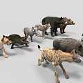 Collection of Various Animal Models Including Lion Boar Bear Bird and Turtle